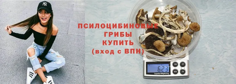 Галлюциногенные грибы MAGIC MUSHROOMS Алагир